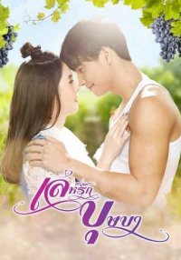 Пьянящее заблуждение