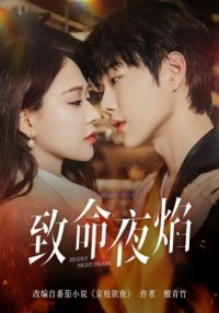 Роковое ночное пламя (2025)